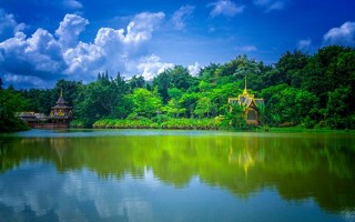 2026年属鸡的订婚吉日 2026年属鸡人的全年运势详解？