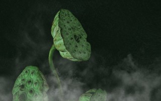 程女神讲摩羯男事业运 摩羯男遇到事业不顺会怎样?？